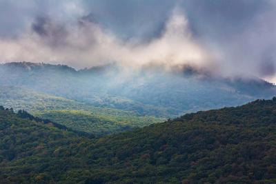 Прикрепленное изображение: IMG_3680.jpg